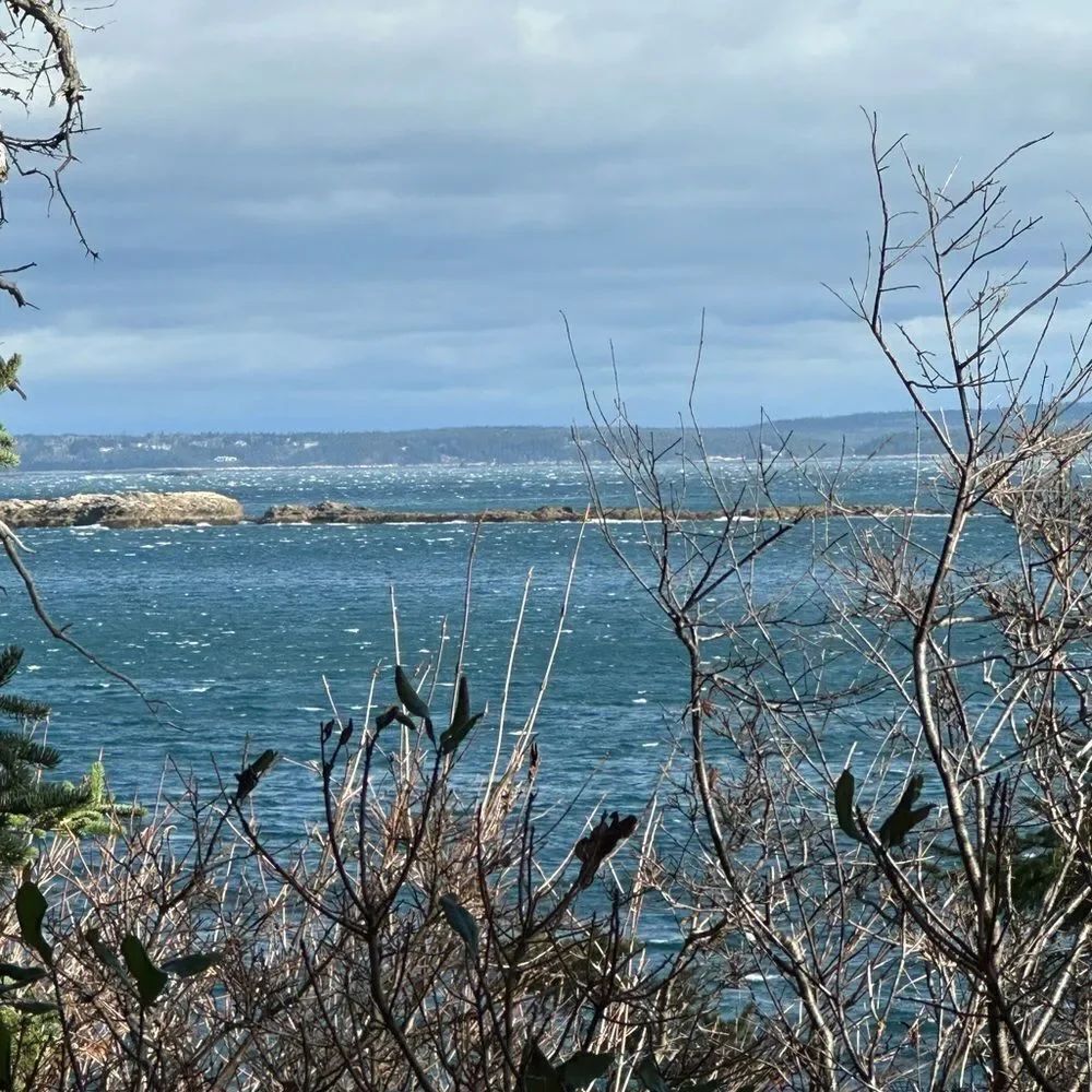 MAINE   - Picture 9 of 15